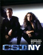 CSI紐約犯罪現場第一季4