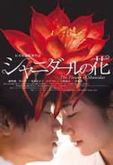 電影介紹 幻花之戀the Flower Of Shanidar U2 電影館 影片資訊 電影介紹 幻花之戀the Flower Of Shanidar U2 電影館 影片資訊