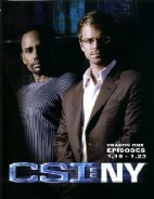CSI紐約犯罪現場第一季8