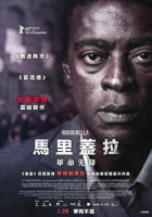 馬里蓋拉：革命先鋒